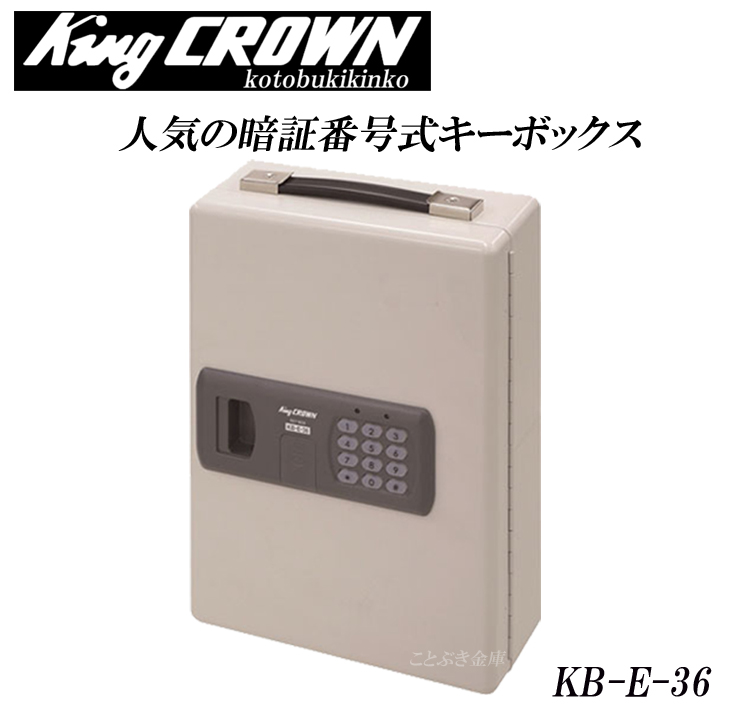 日本アイ・エス・ケイ(株) キング キーボックス KB-FPE-10 通販
