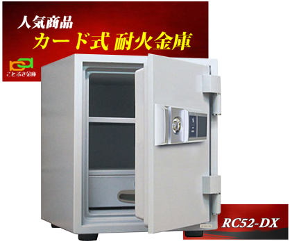  ƒp J[hF؎ ω΋ RC52-DX _CZ[t    h 1ԑω